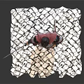 Medieval Warrior In Armor With Red Cape Holding Sword On Cracked Stone Base