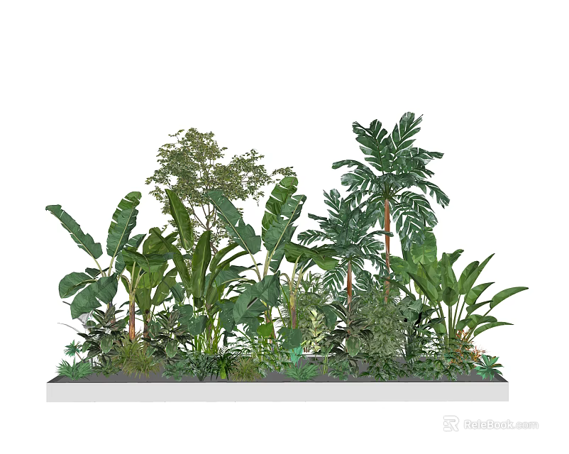 Lush Tropical Green Plants Arrangement With Diverse Foliage And Leafy Shrubs 3d model 