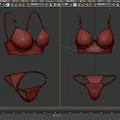 Burgundy Lace Women's Lingerie Set Featuring Bra and Panty