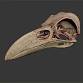 Detailed Bird Skull Anatomical Structure With Hollow Spaces On Dark Reflective Background