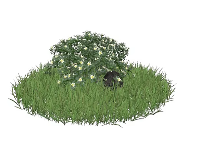 Lush Green Shrub With White Flowers Growing In Fresh Grass And Small Rabbit 3d model