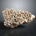 Aquatic Animals Habitat Showcasing Natural Porous Pale Grayish White Coral Stone Structure