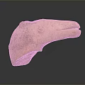 Ancient Terracotta Bird Head Sculpture With Handcrafted Texture And Earthy Archaeological Style