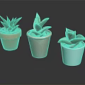 Succulent Plants In Red Brown And White Pots Arranged On Dark Surface With Green Leaves
