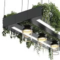 Modern Chandelier Design With Black Frame Glass Shades And Hanging Greenery Plants