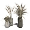 Minimalist Ceramic Vases With Dried Wheat Ears In White Gray And Dark Gray Styles