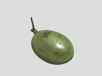 Fresh Green Oval Shaped Spotted Fruit With Small Stem For Healthy Snacks 3d model