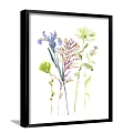 Watercolor Plant Paintings With Colorful Flowers And Grasses In Black Frames