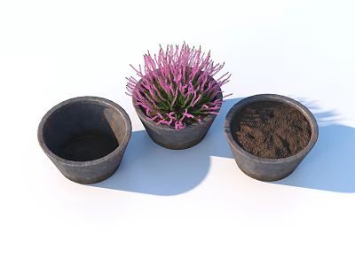 Three Bonsai Pots With Purple Plant And Soil In Ceramic Design 3d model