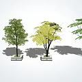 modern tree landscape tree arbor 3d model