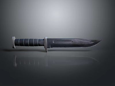Tactical Military Style Combat Knife With Black Textured Handle Silver Guard And Sharp Metal Blade 3d model