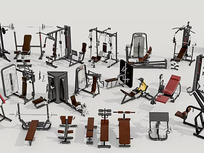 Various Sports Equipment Including Weight Benches Lifting Racks And Exercise Machines 3d model
