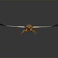 Cicada With Transparent Wings And Brown Body On Dark Reflective Surface 3d model