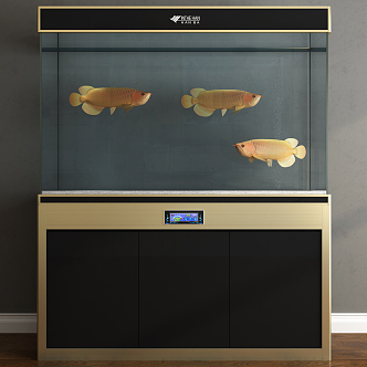 Modern fish tank 3d model