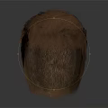 Human Scalp Brown Hair Model With Natural Texture And Realistic Appearance