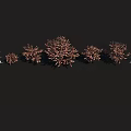 Garden Landscape Design With Trees Of Various Heights And Natural Foliage