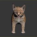 Lynx Kitten With Striped Orange Fur And Black Ear Tufts Standing On Reflective Surface