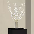 Transparent Glass Vase With White Blossoms Placed On Black Table Against Beige Wall
