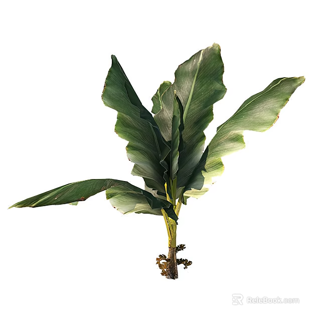 Charming Tree House Design With Large Green Leaves And Natural Surroundings 3d model 