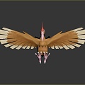 Eagle Large Eagle Owl Raptor Falcon Bird Bird Bird Animal Game Animal 3d model