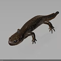 Brown Salamander With Textured Skin And Extended Limbs On Dark Background 3d model