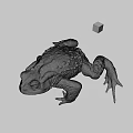 Game Movie Character Detailed Brown Toad With Colorful Cube 3D Render