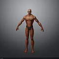 Muscular Man 3D Model with Well Defined Physique in Standing Pose