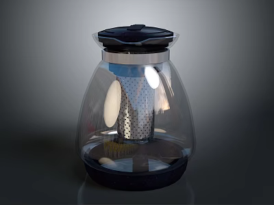 Modern Glass Water Kettle With Black Lid And Metal Filter Base 3d model