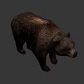 Realistic Brown Bear Game Character 3D Model With Detailed Fur Texture 3d model
