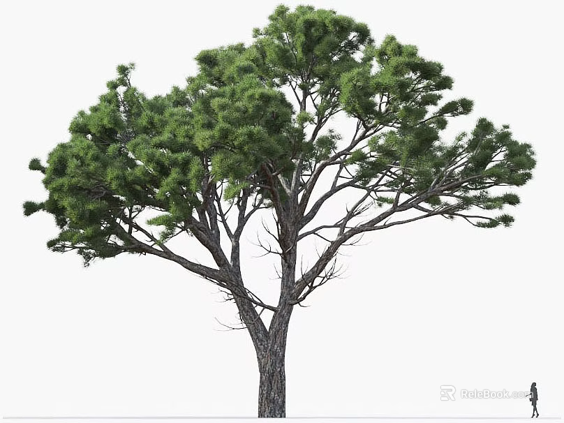 Tall Arbor With Lush Green Foliage Thick Trunk And Small Figure For Scale 3d model 