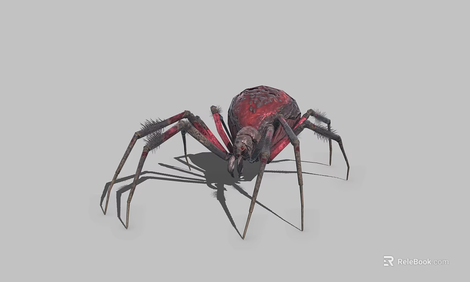 Red and Black Spider With Long Legs And Distinct Body On Gray Background 3d model 