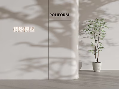Bonsai Potted Plant in White Pot with Tree Shadow in Modern Poliform Interior 3d model