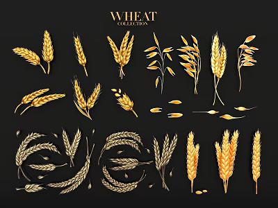 Wheat Themed Wall Decor With Golden Wheat Ears Stalks And Grain Elements 3d model