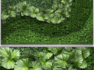 Plant wall model