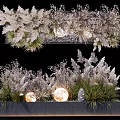 Bonsai Potted Plants With Various Greenery And Decorative Glowing Orbs In Stone Container