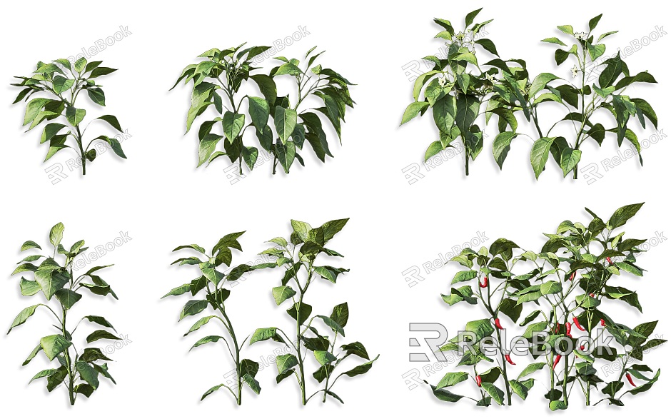 Millet Pepper Pepper Vegetable Shrub Plant Seedlings Red Pepper Wild Vegetable Shrub Flower Vegetable Shrub Plant model