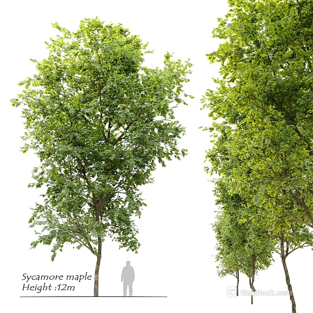 Decorative Ornament Set Featuring Two Trees With Different Green Foliage For Home Decor 3d model