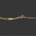 Natural Wooden Branch With Authentic Texture And Knots On Smooth Black Surface