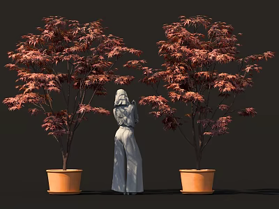 Bonsai Potted Plants With Red Leaves In Orange Pots Featuring Person Standing Between 3d model