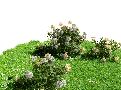 Green Grass Field With White And Light Pink Flower Bushes And Small White Blossoms 3d model
