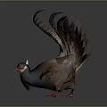 Modern pheasant 3d model