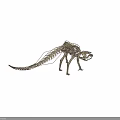 Game Movie Character Skeleton Structure Fantasy Creature With Detailed 3D Design