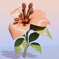Realistic Orange Lily Flower With Green Leaves Water Droplets On Gradient Blue Pink Background