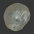 Natural Garden Landscape Layout With Circular Undulating Terrain And Blue Gray Textures