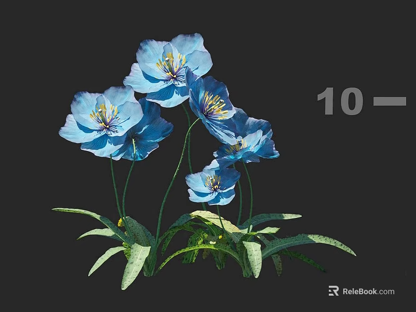 Blue Blooming Flowers With Green Leaves On Black Background Natural 3d model 