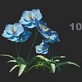 Blue Blooming Flowers With Green Leaves On Black Background Natural