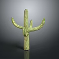 Green Branched Cactus Plant with Textured Stem and Natural Shape