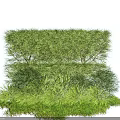 Lush Green Layered Shrubs With Dense Foliage And Varied Plant Heights