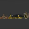 Various Plants with Small Stones Yellow Flowers and Black Bushes on White Background