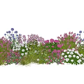 Vibrant Flower Garden With Purple Pink White Blooms And Green Foliage